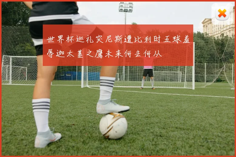 世界杯巡礼突尼斯遭比利时五球羞辱迦太基之鹰未来何去何从